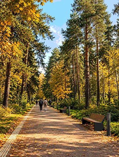 Аллеи Ботанического сада