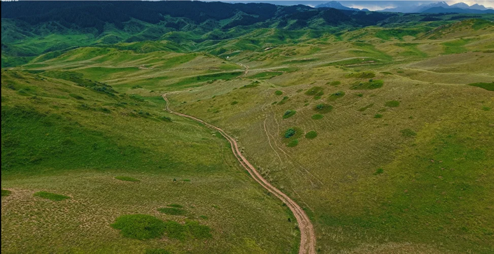 Road through green meadows and hills on a private mountain tour from Almaty
