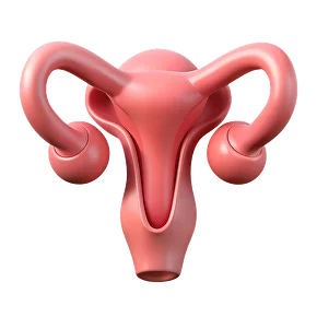 Қынаптың кистасы: гинекологтың кеңесі