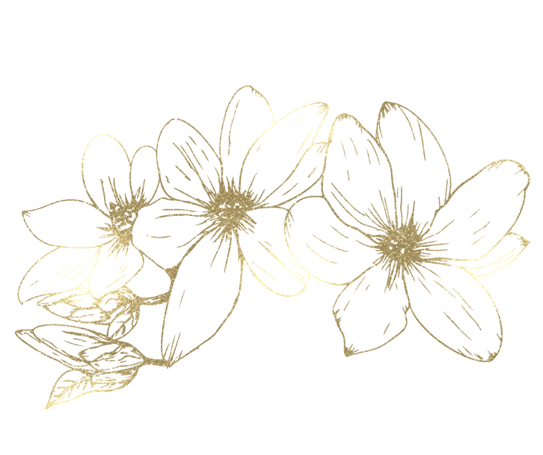 Келіңіздер, келіңіздер, онлайн болыңыздар