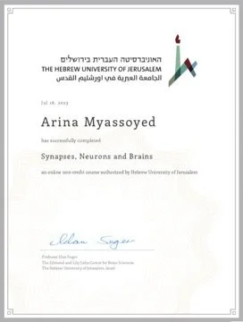 Preview: Hebrew University of Jerusalem — Synapses, Neurons and Brains, 2023