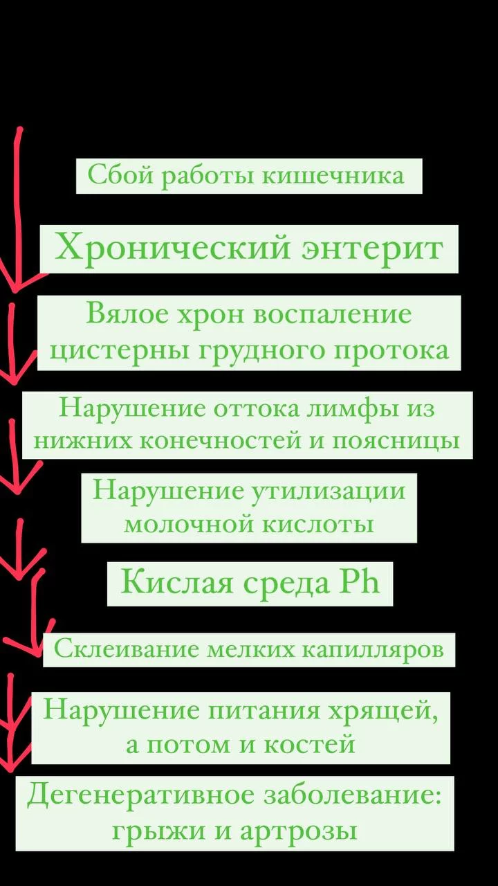 Какая связь между кишечником и позвоночником, суставами