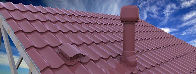 Piter Nort bilan jinsiy aloqani tomosha qiling