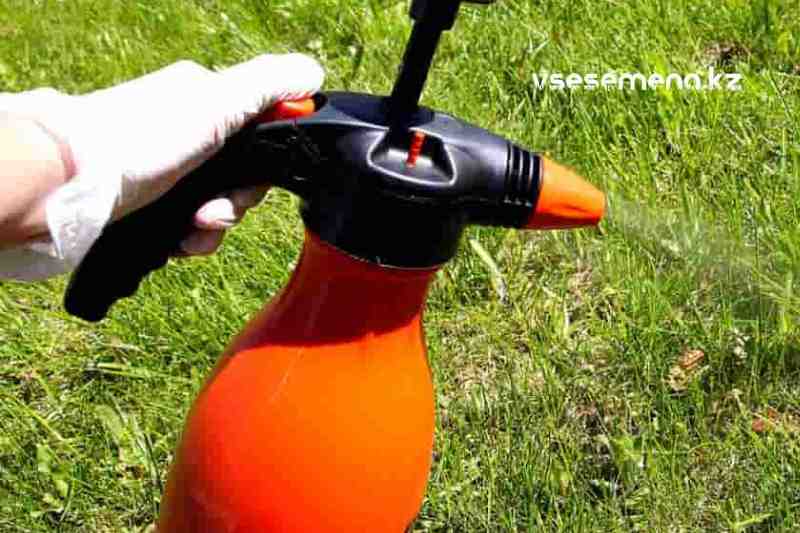 Бір тобыр әйелді аузына және есекке ебет Жыныстық қатынастағы арық жастағы әйелдердің фотосуреттері