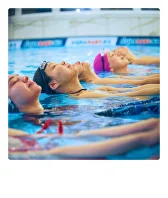 Пискалардың барлық түрлерінің фотосуреттері