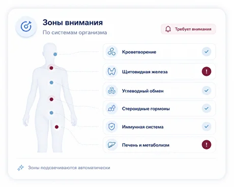 Зоны внимания в интерактивной карте здоровья семьи