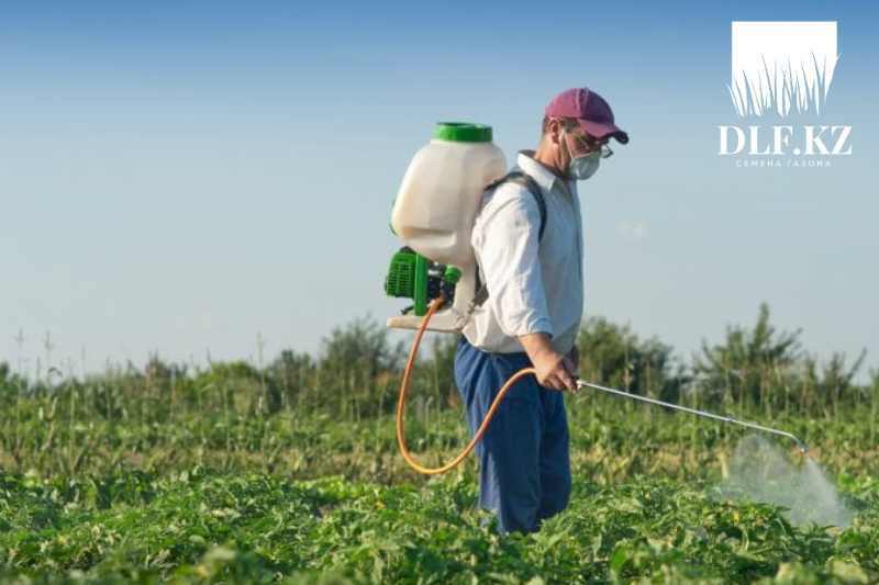 Догги стиліндегі кеуделі әйелдердің порно видеосы