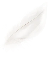 Кең жамбас қызбен порнолаб секс смотреть онлайн