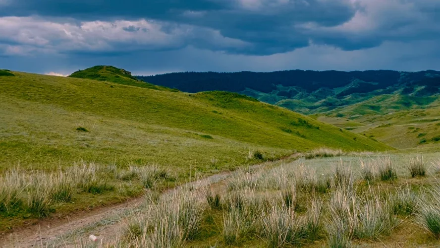 Mountain road, spruce forest and distant ridges on the Edge of the Sky tour from Almaty