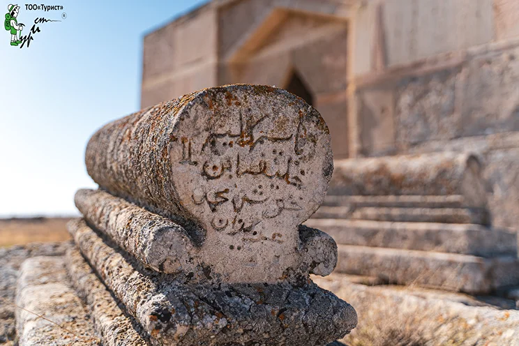 Жалқау әйелдердің жеке суреттері