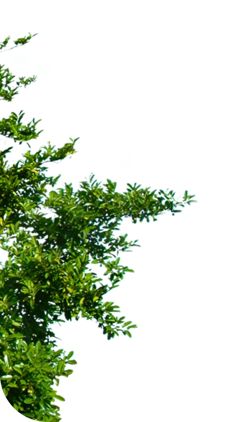 Порно көру бақытты