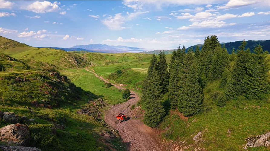 Off-road descent through spruce trees and mountain slopes in Kazakhstan